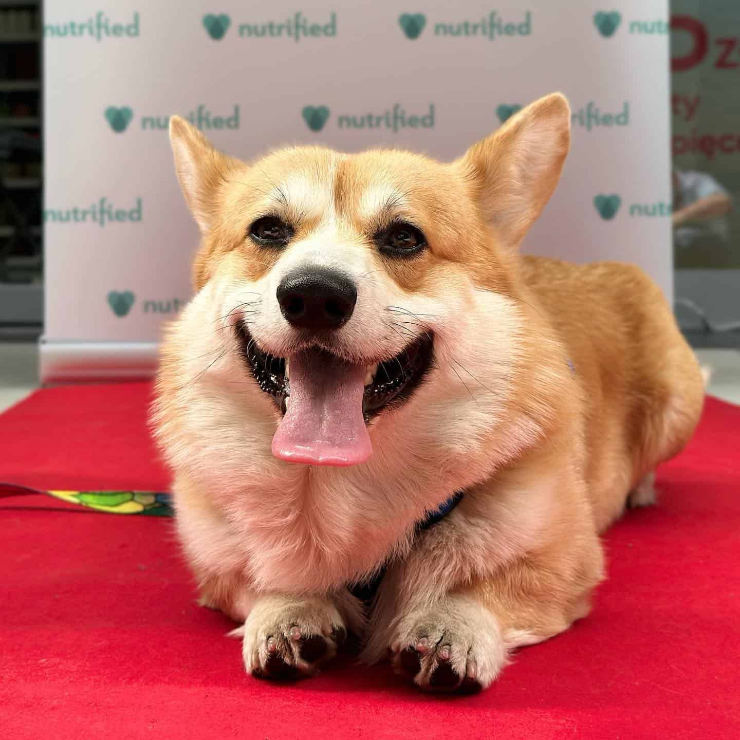 Winston
